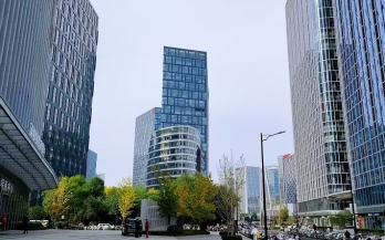 告别“劳民伤财”：云服务如何破解中小企业定制软件困局